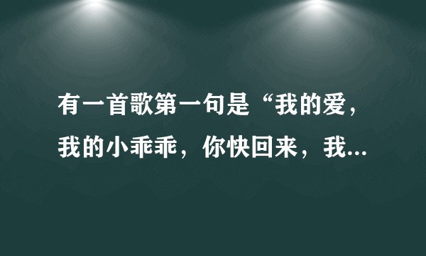 有一首歌第一句是“我的爱，我的小乖乖，你快回来，我吃不下没你陪的饭菜。这是什么歌