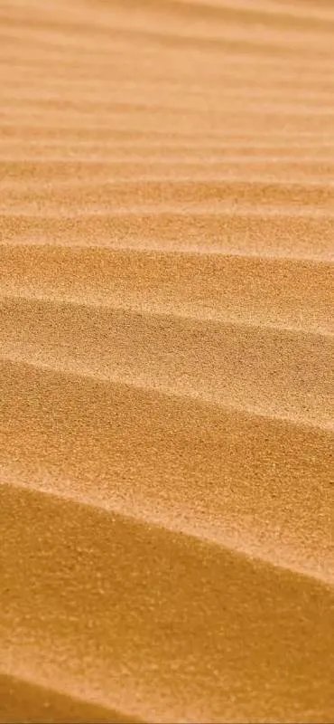 埃及开罗有战乱吗