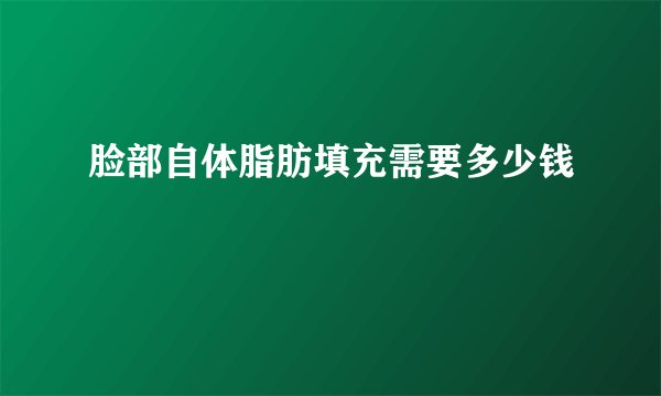 脸部自体脂肪填充需要多少钱