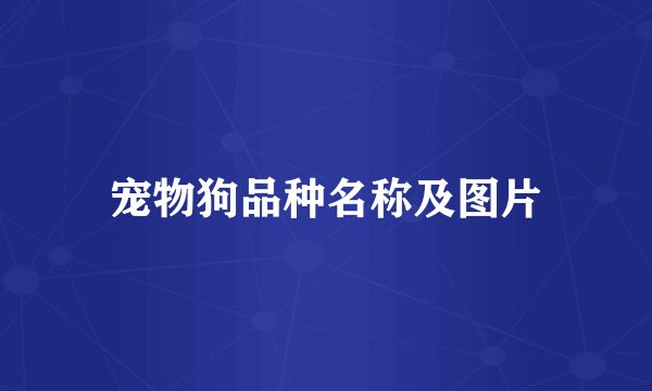 宠物狗品种名称及图片