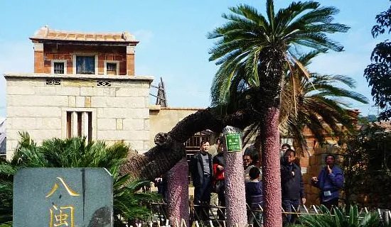 大嶝岛有什么好玩的，哪些比较推荐？