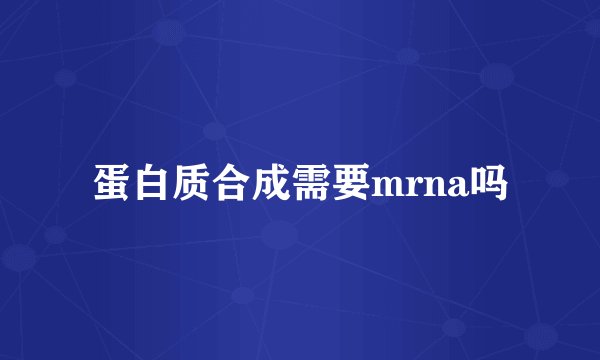 蛋白质合成需要mrna吗