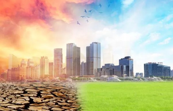 北极熊为什么濒临灭绝 北极熊濒危的原因是什么