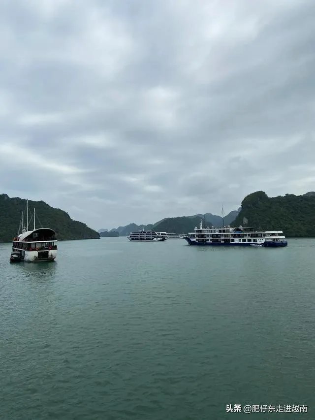 越南什么时候可以入境中国