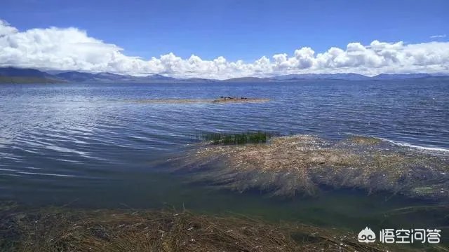 如何评价《2018中国好声音》的第七期节目？