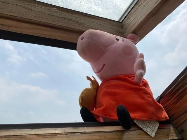 多地公布暑假时间，学生都很高兴，您怎么看待呢？