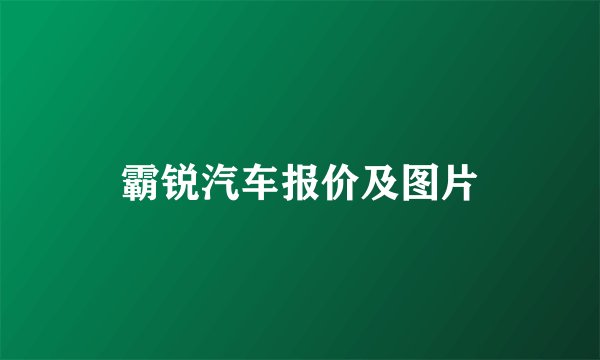 霸锐汽车报价及图片