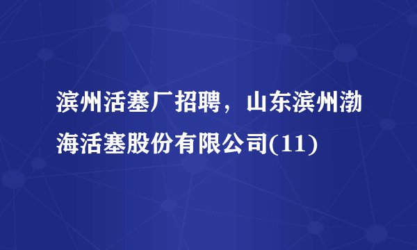 滨州活塞厂招聘，山东滨州渤海活塞股份有限公司(11)