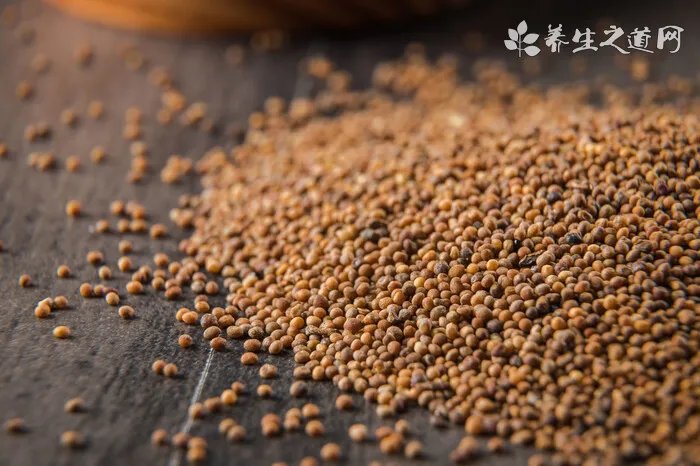 淳萃洗发水哪款好？淳萃洗发水哪个味道好闻？