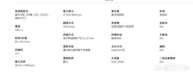 黄龙300是什么牌子车