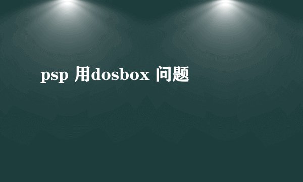 psp 用dosbox 问题