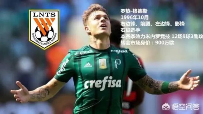 你觉得中超榜首大战：山东鲁能vs上海上港，比赛的结果会怎样？