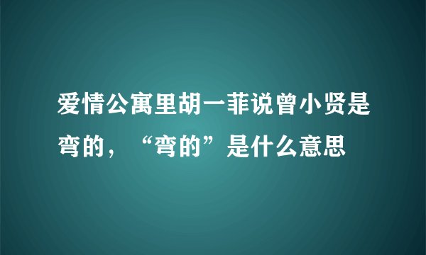 爱情公寓里胡一菲说曾小贤是弯的，“弯的”是什么意思