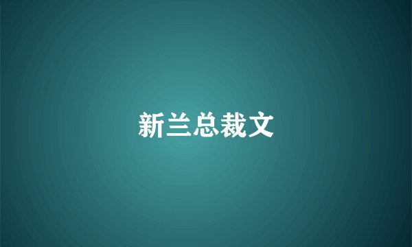新兰总裁文