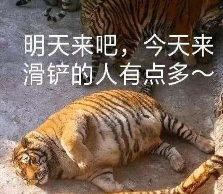 滑铲杀虎表情包大全