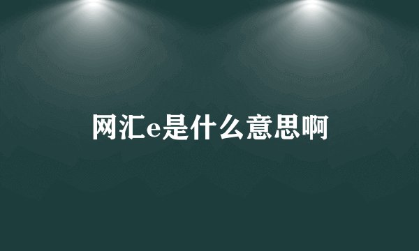 网汇e是什么意思啊