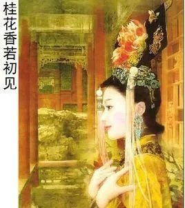 桂花香若初见的文章主角