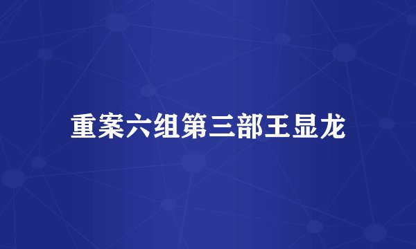 重案六组第三部王显龙