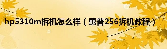 hp5310m拆机怎么样（惠普256拆机教程）
