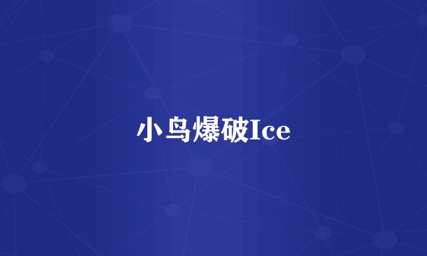 小鸟爆破Ice
