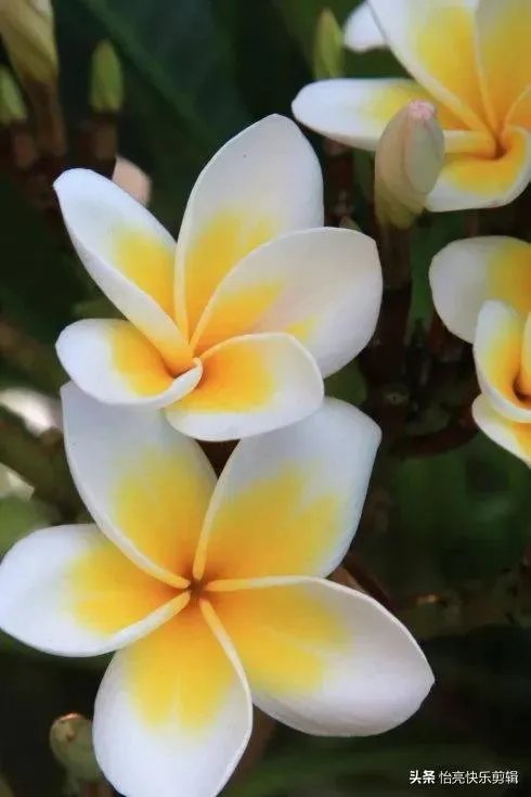 如果你真的爱他，会给他哪两样东西？