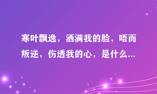 寒叶飘逸，洒满我的脸，唔而叛逆，伤透我的心，是什么歌曲的歌词