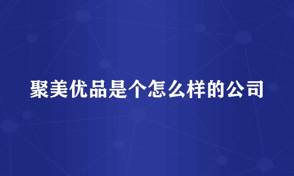 聚美优品是个怎么样的公司
