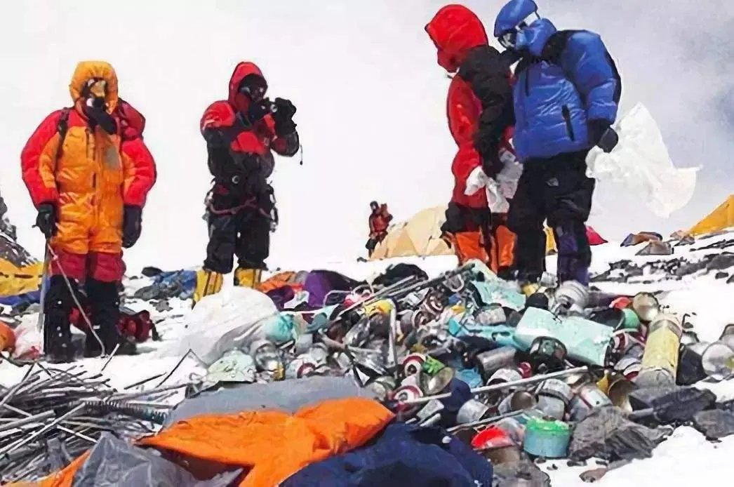 小伙网贷去可可西里捡垃圾，他会遇到哪些危险情况？