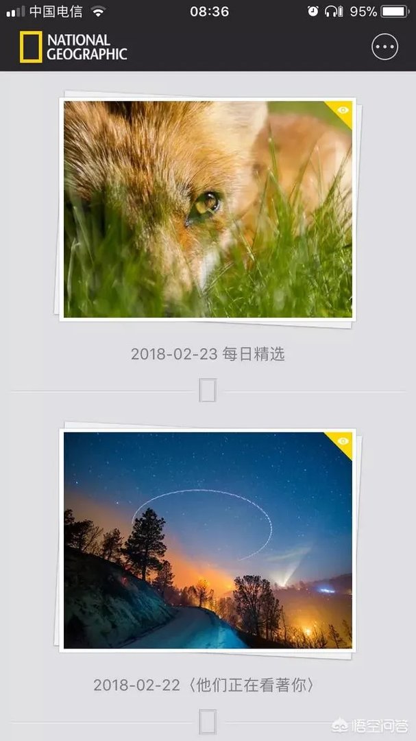 iphone必备十大付费软件