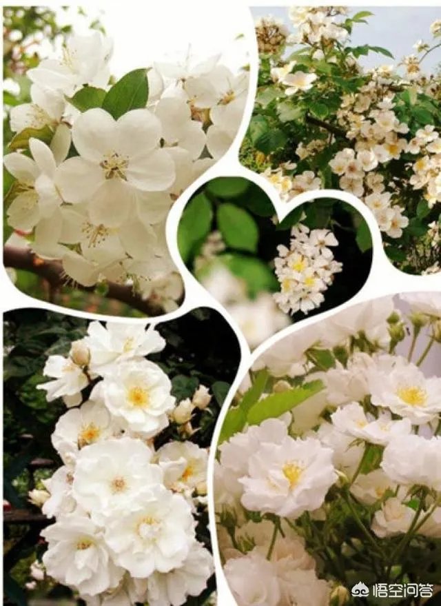 你有没有一个人，分开并不是不爱，后面一直不联系，却隐藏在心中？