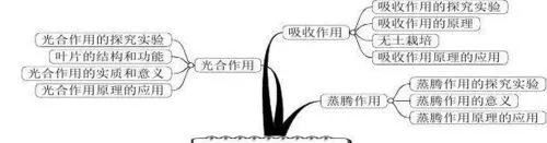 初中生物知识点思维导图