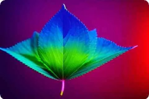 怎么进入巴拉丁监狱