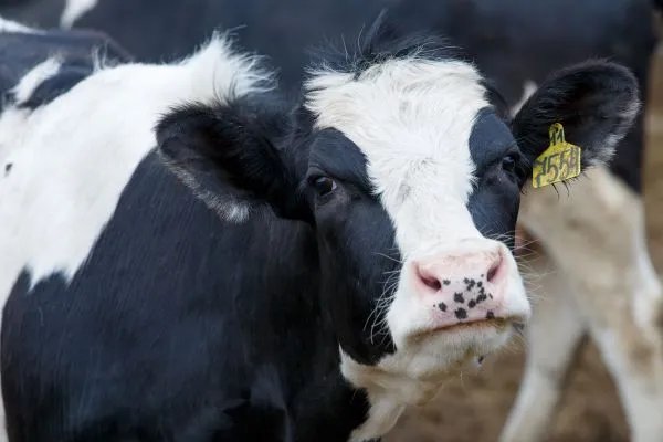 十二时辰生人的五行表 十二时辰与五行对照表