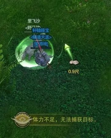 想当马贩子小白看过来 剑网3马驹最新刷新点