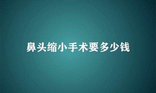 鼻头缩小手术要多少钱