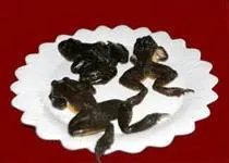 十一黄山旅游攻略