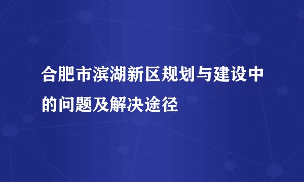 合肥市滨湖新区规划与建设中的问题及解决途径