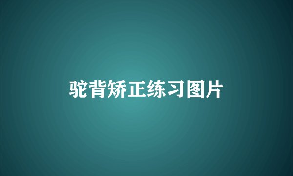 驼背矫正练习图片