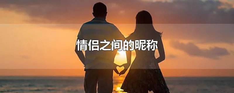 情侣之间的昵称