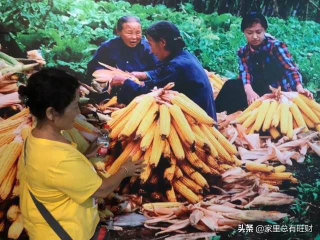 现在想往农业方面发展，有没有比较好的农业资讯软件啊？求推荐？