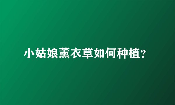 小姑娘薰衣草如何种植？