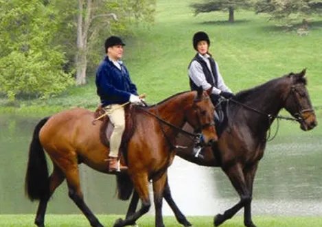 私人定制旅行和常规游的区别