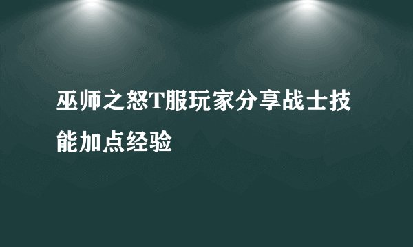 巫师之怒T服玩家分享战士技能加点经验