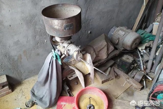 现在主要哪个地区种植稻谷？何时播种？一亩产量是多少？