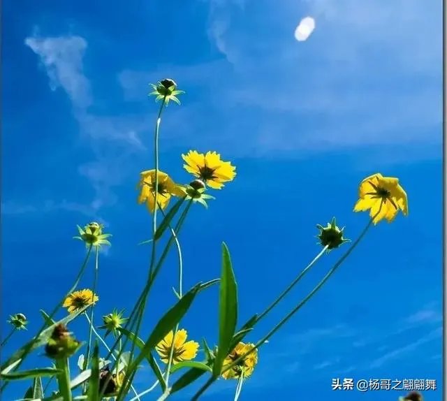 自媒体优质文章的标准是什么？