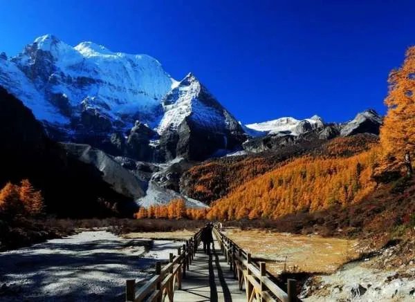 稻城亚丁为何会火爆全网，真的如同介绍所说的那么美？