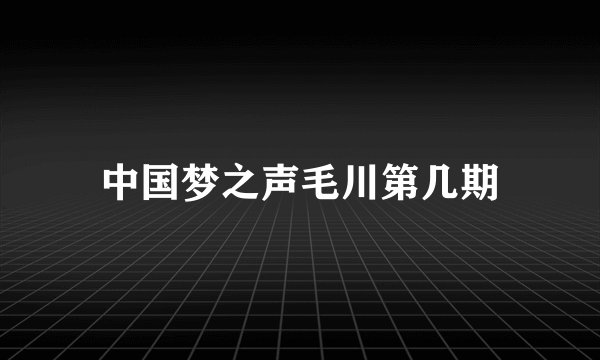 中国梦之声毛川第几期