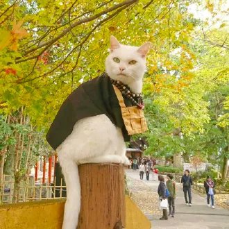 日本著名旅游景点有哪些？