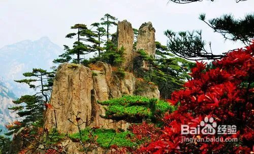 十一黄山旅游攻略