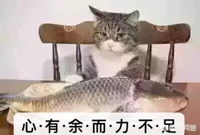 上海员工宿舍在商务楼里是群租房吗?